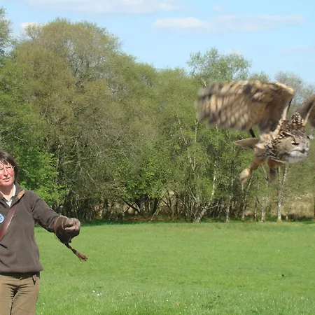Temple House Bed & Breakfast