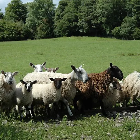 Temple House Ballymote