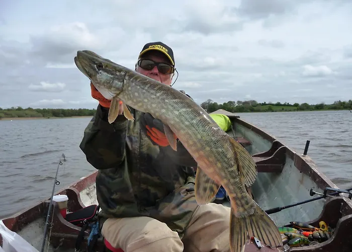 Bed & Breakfast Temple House Ballymote