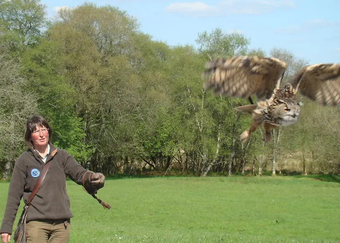 Temple House Alojamento de Acomodação e Pequeno-almoço