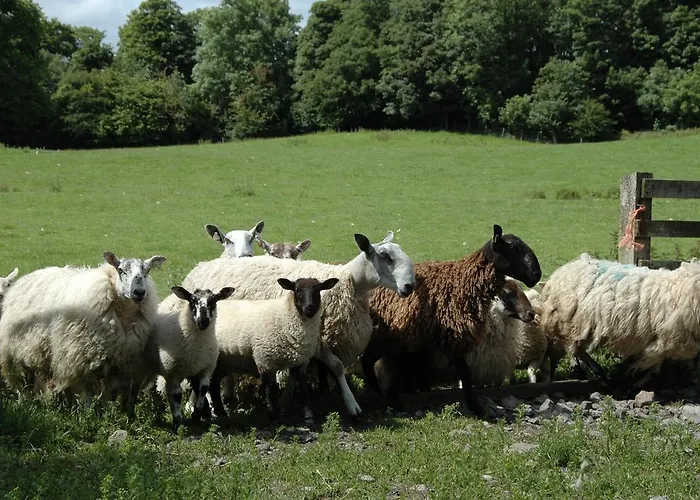 Temple House Ballymote