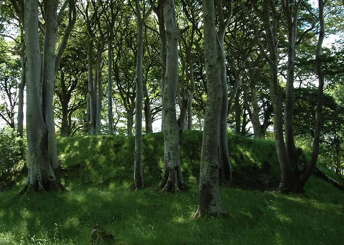 Temple House Alojamento de Acomodação e Pequeno-almoço Ballymote