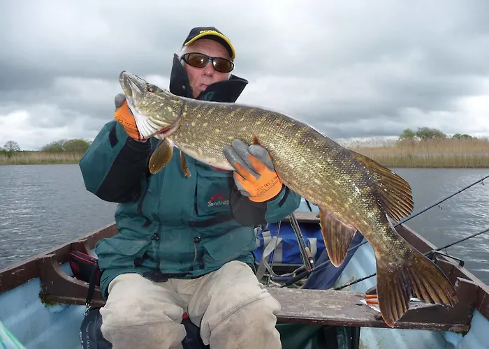 Bed & Breakfast Temple House 4*