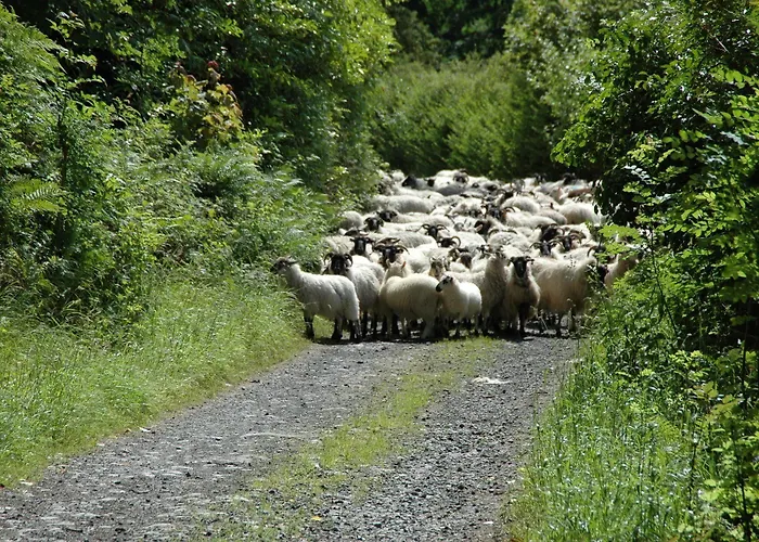 Bed & Breakfast Temple House 4*